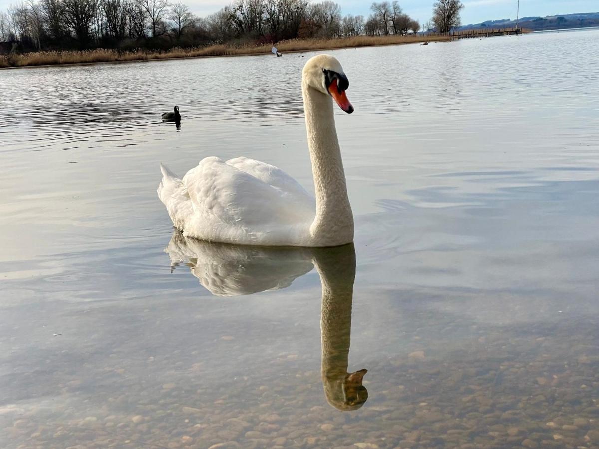 Übersee Ferienwohnung Am Chiemsee מראה חיצוני תמונה